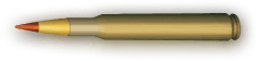 Bullet Level 13